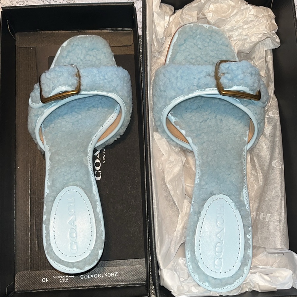 Coach Shearling Buckle Mules